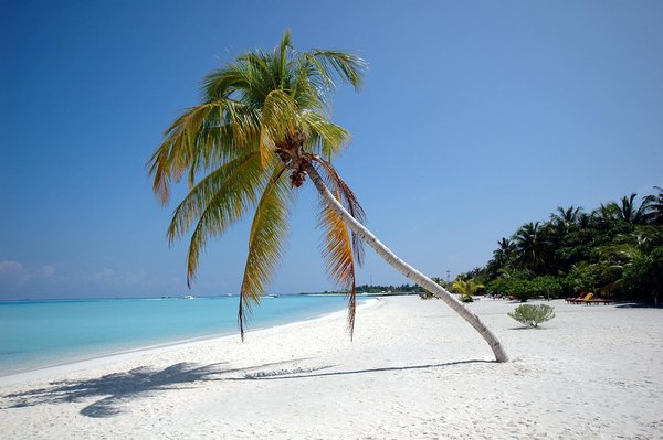 Comment découvrir les marchés flottants sur le delta du Mekong au Vietnam?