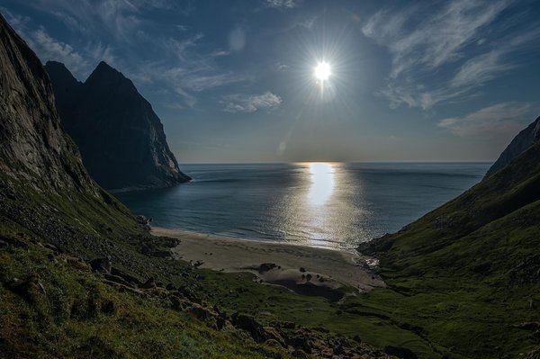 Quels sont les meilleurs spots pour une plongée avec les dauphins en Mer Rouge?
